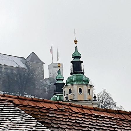 Petkovsek Rooms And Apartments Любляна Экстерьер фото